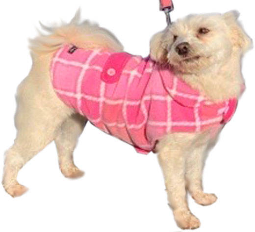 Custom dog coats australia Clearance