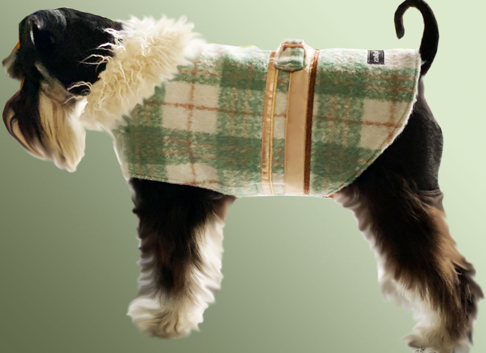 Aussie dog coats outlet
